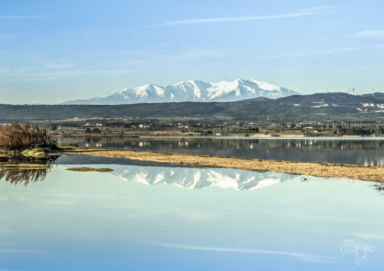 Appartement Le Flamant Rose Port-la-Nouvelle Exteriér fotografie